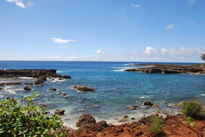 2007_05_30_HAWAII (111) (Large).JPG